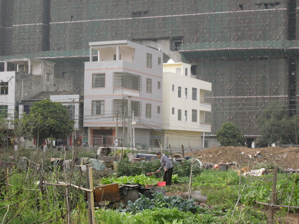 Healthy Environments
