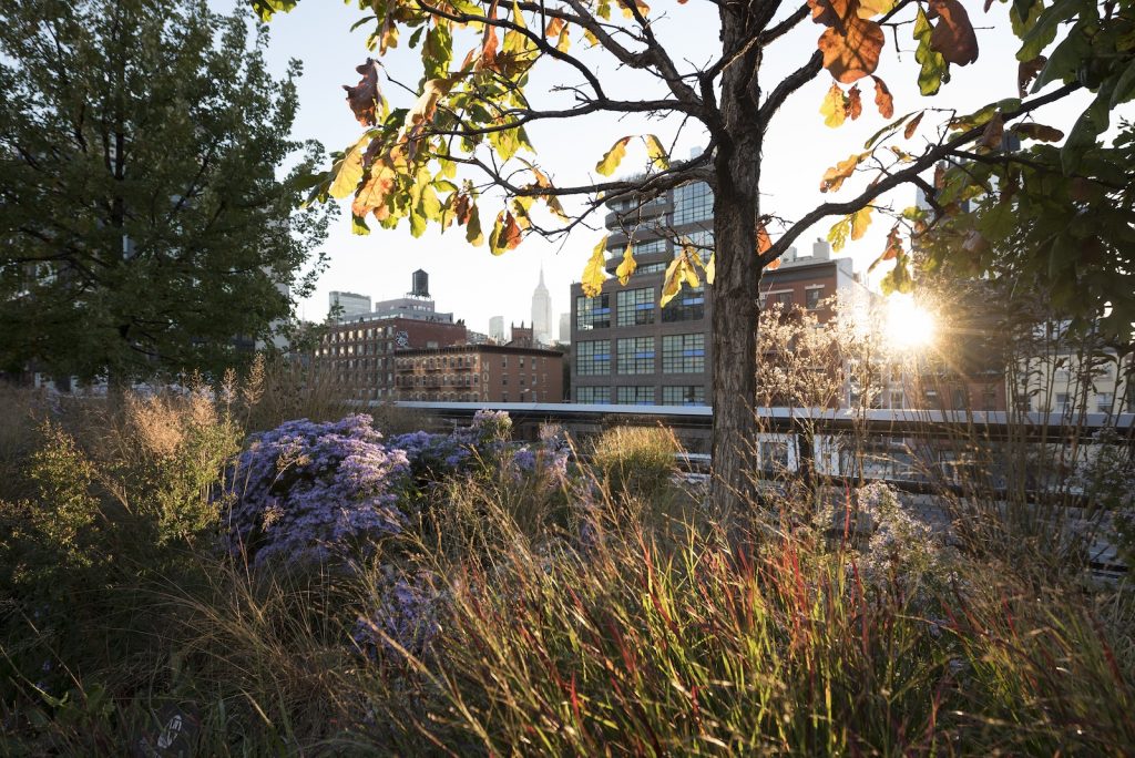 The Veronica Rudge Green Prize In Urban Design: The High Line