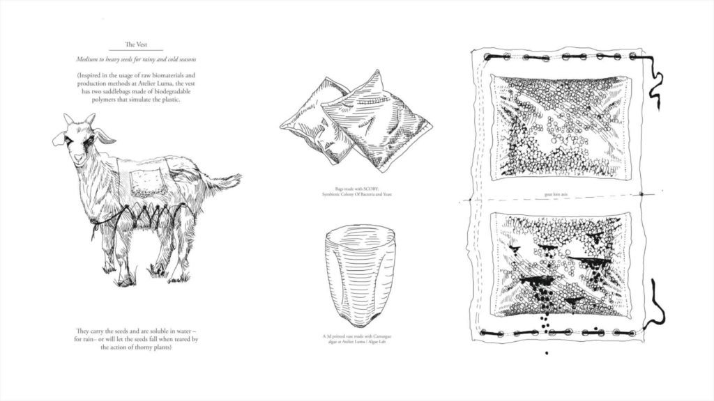 Work in Progress: Melissa Naranjo’s exploration of regenerative practices in Les Alpilles, France