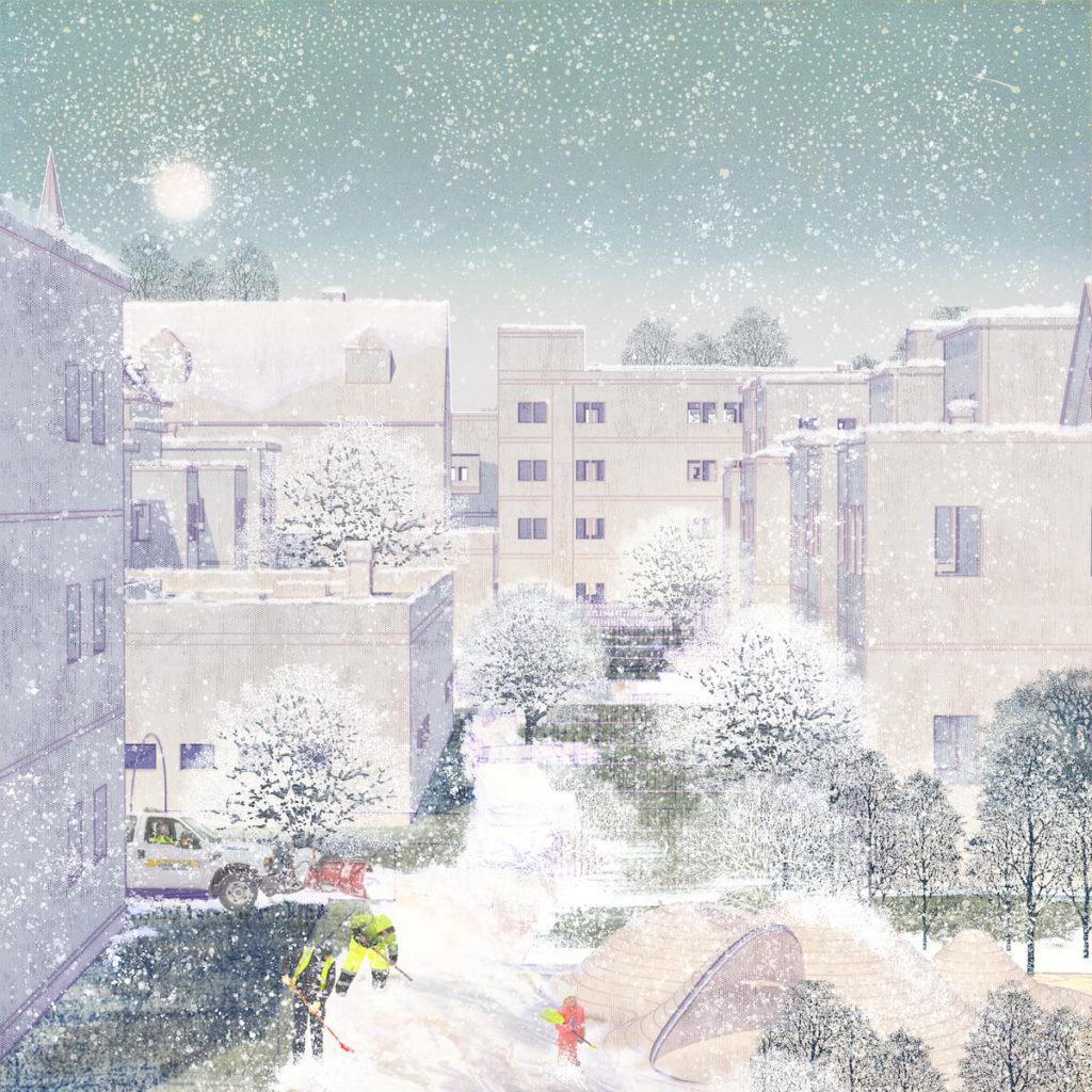 Snow Bank
