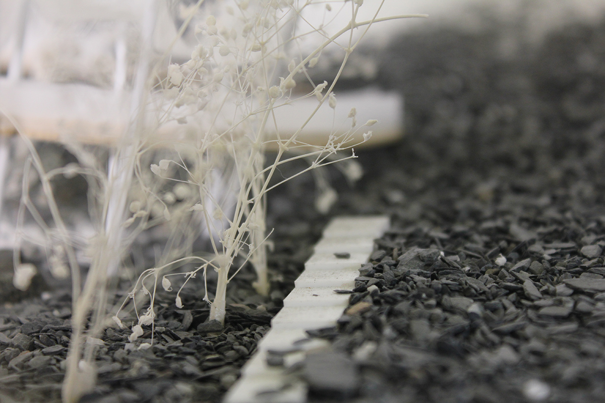 Close up image of model