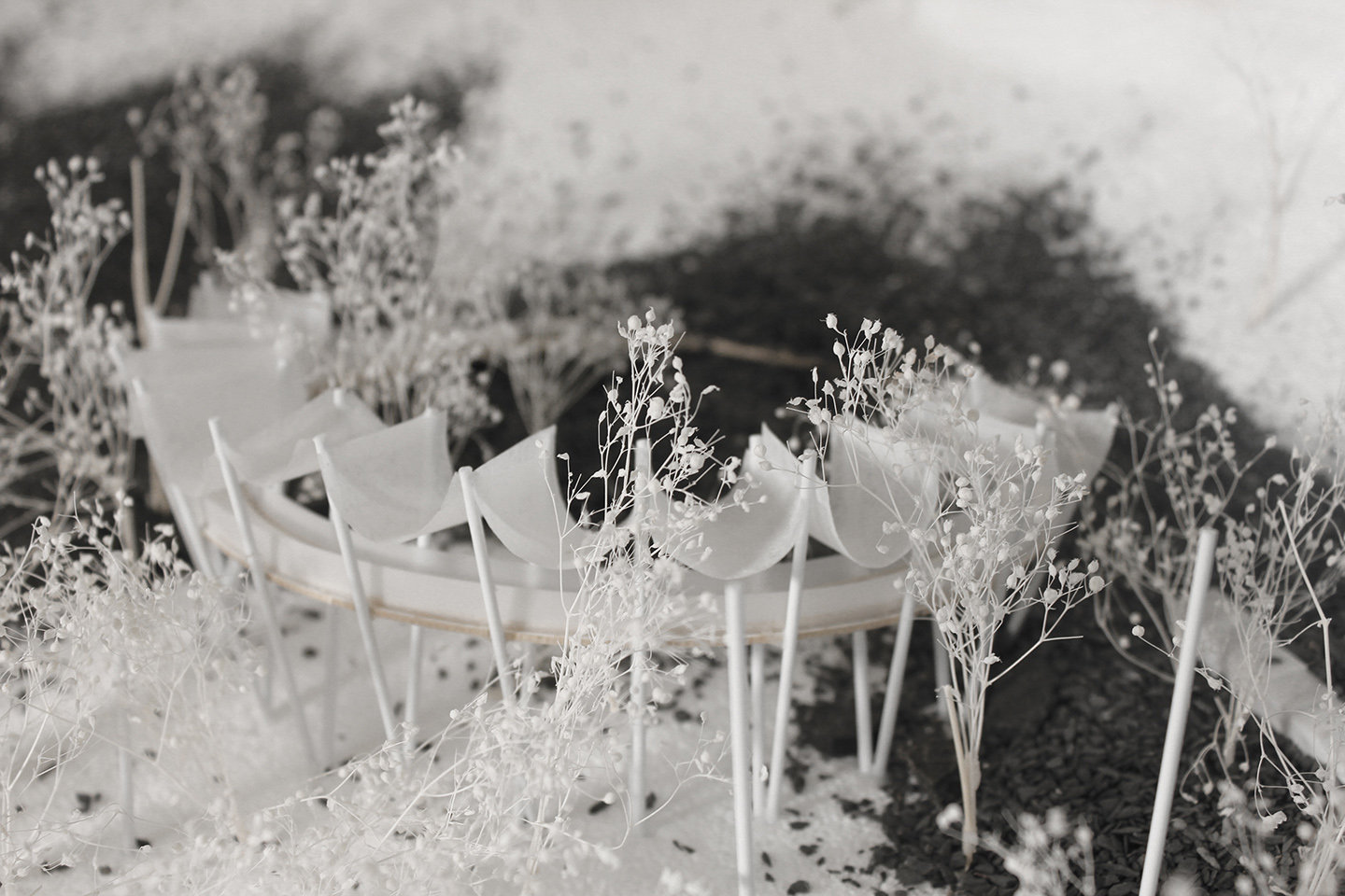 Image of white model