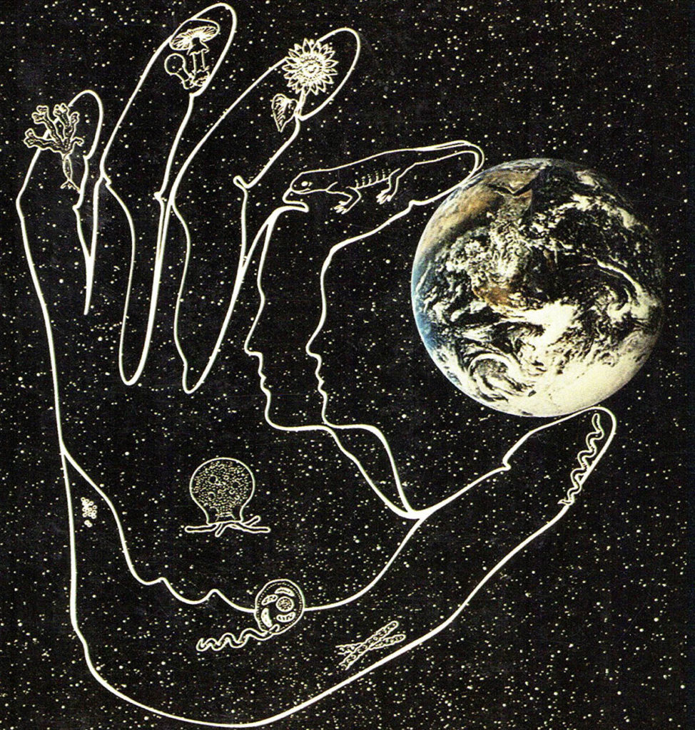 Dorion Sagan, “Dissipative Spacescapes and Living Buildings: Four Billion Years of Architectonic Earth”