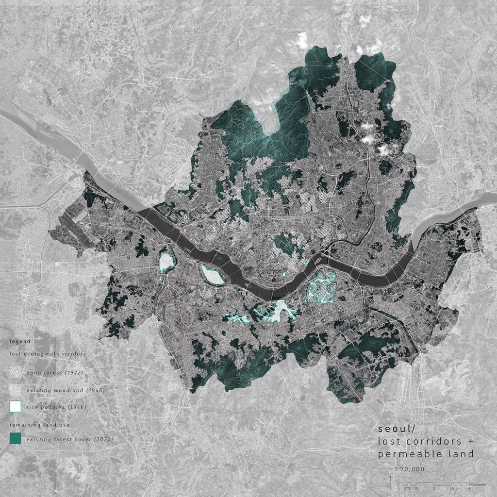 Rewilding the Urban Block: Constructing Permeability through Artificial Ground