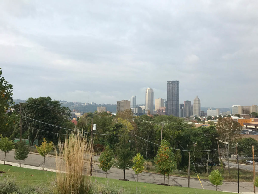 Urban Planning and Mental Wellness in Black Communities