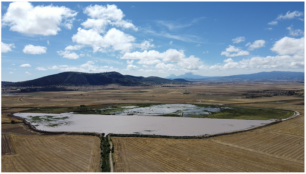 Climate Change, Water Rights, and the Future of the Mexican Altiplano: An interview with Lorena Bello