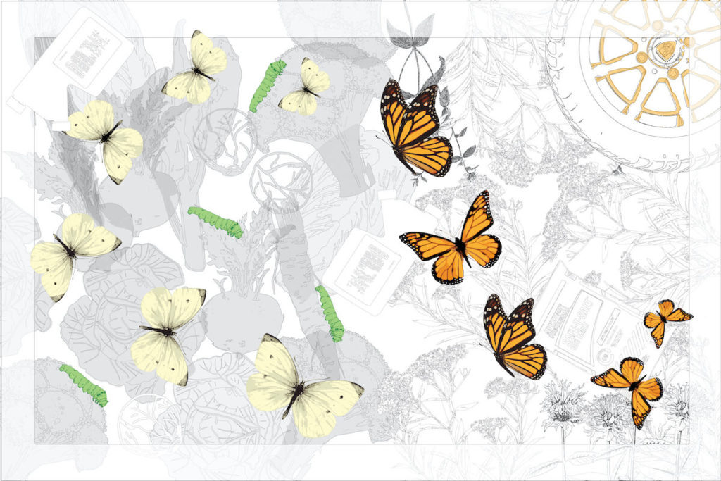 Fostering Relationships Between Insects and Humans Through Design