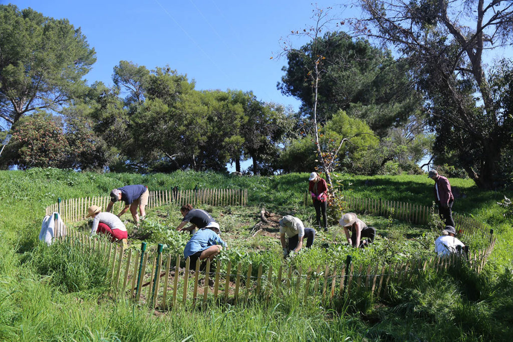 TERREMOTO // David Godshall and Jenny Jones, “Radical Gardens of Love and Interconnectedness”