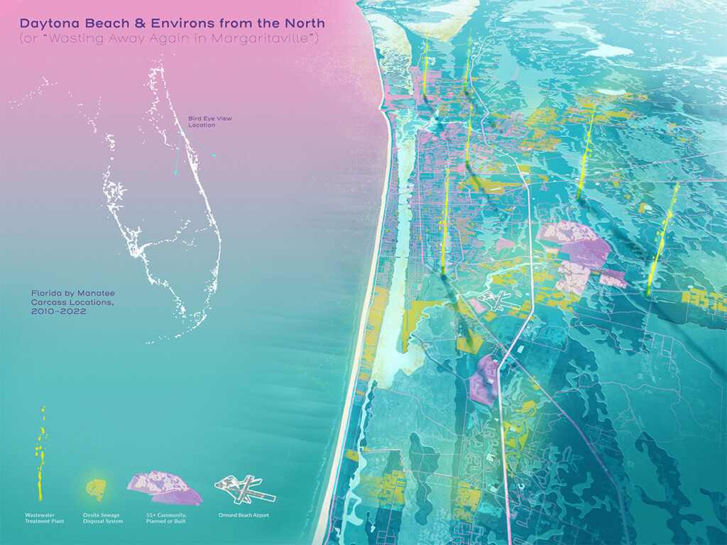 Manatees and Margaritas: Toward a Strange New Paradise