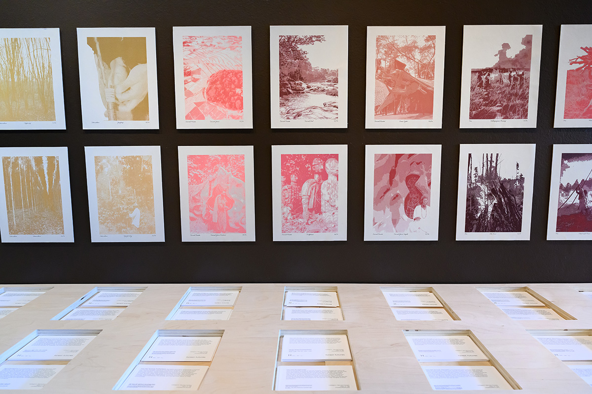 A detail of the exhibit in Druker Design Gallery showing multicolored images in a grid on the wall above a shelf with postcards below each image.