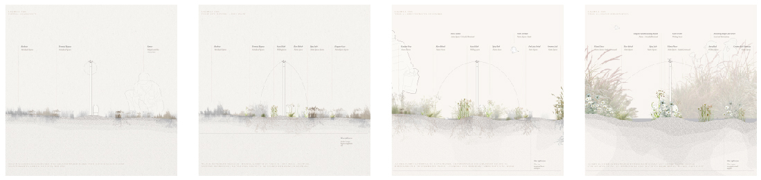 A series of four drawings showing the changing impact of a water tank over time.