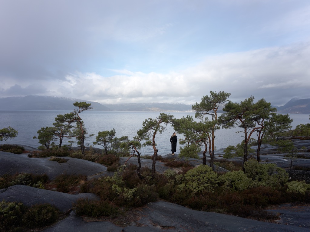 Rest Stops at the Top of the World