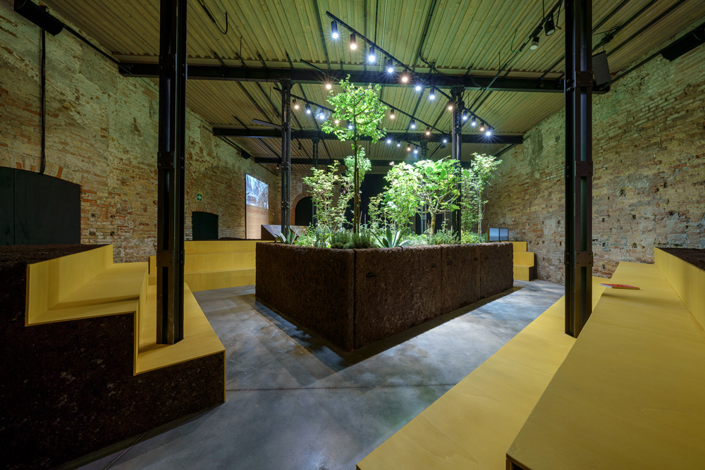 Plants in a brick room with yellow seating platforms.